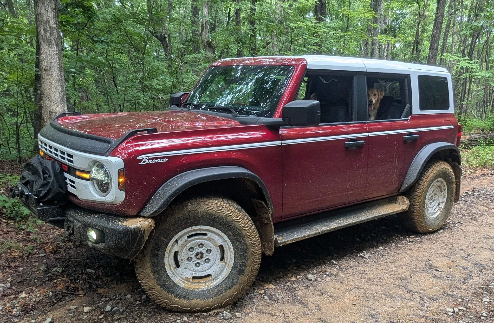 Ford Bronco Who actually off-roads their 7MT? 2819