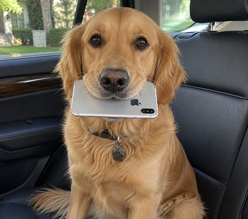 Ford Bronco Where Does Your Phone Usually End Up in Your Bronco? 📱 55437017332_8ed0f0a693_c