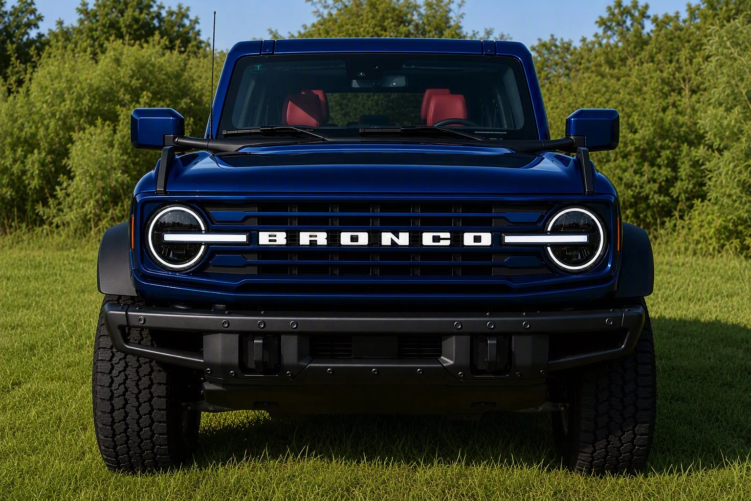 Ford Bronco Tasteful gloss black aftermarket grilles? IMG_6438