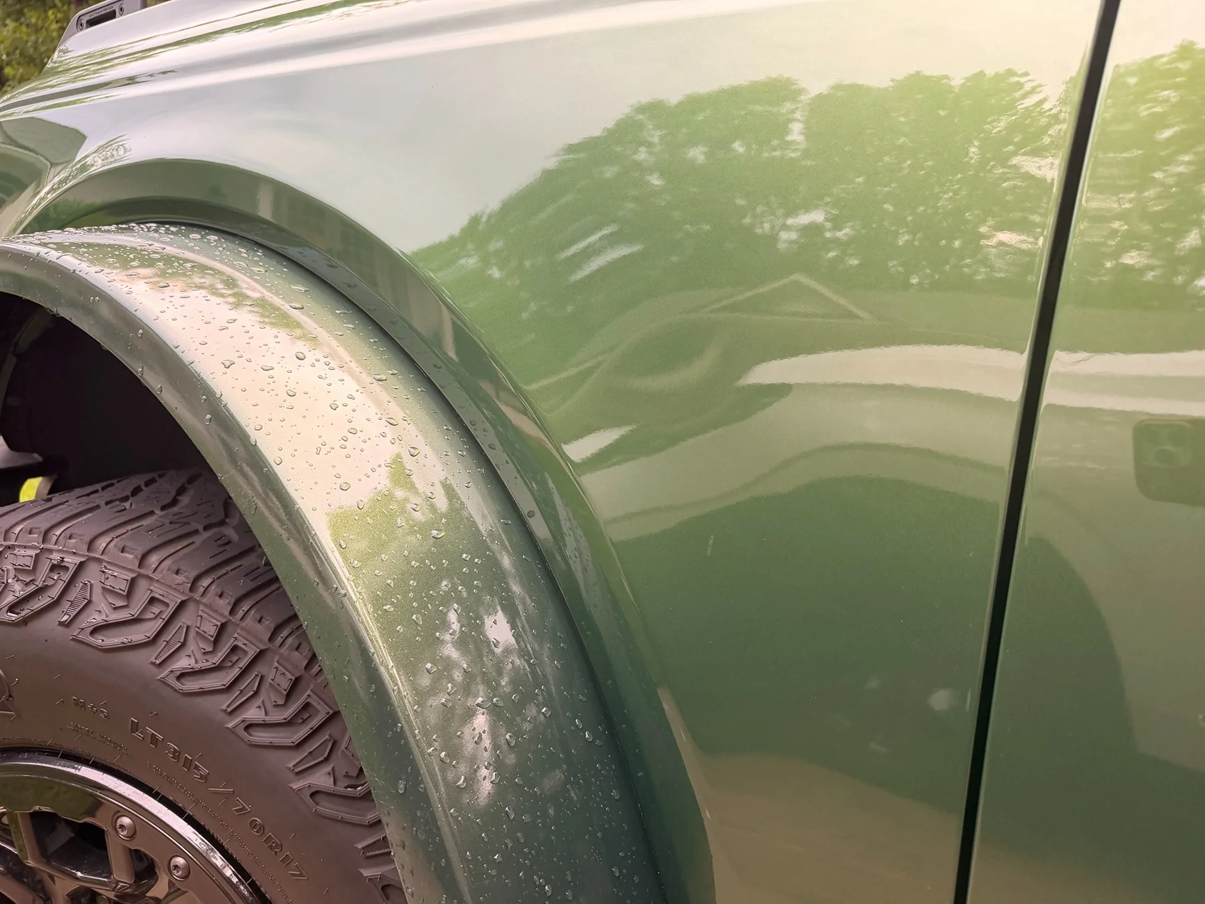 Ford Bronco Painted Fender Flares - Paint Finish vs. Body IMG_5047
