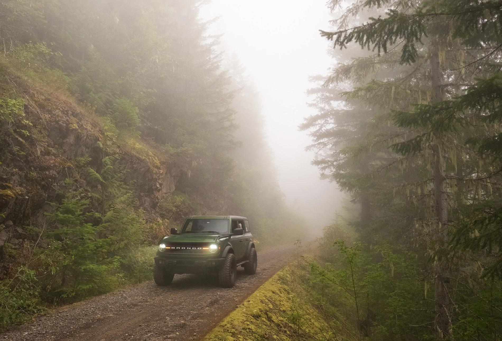 Ford Bronco WA Olympic Peninsula Forest Exploring DSCF0612