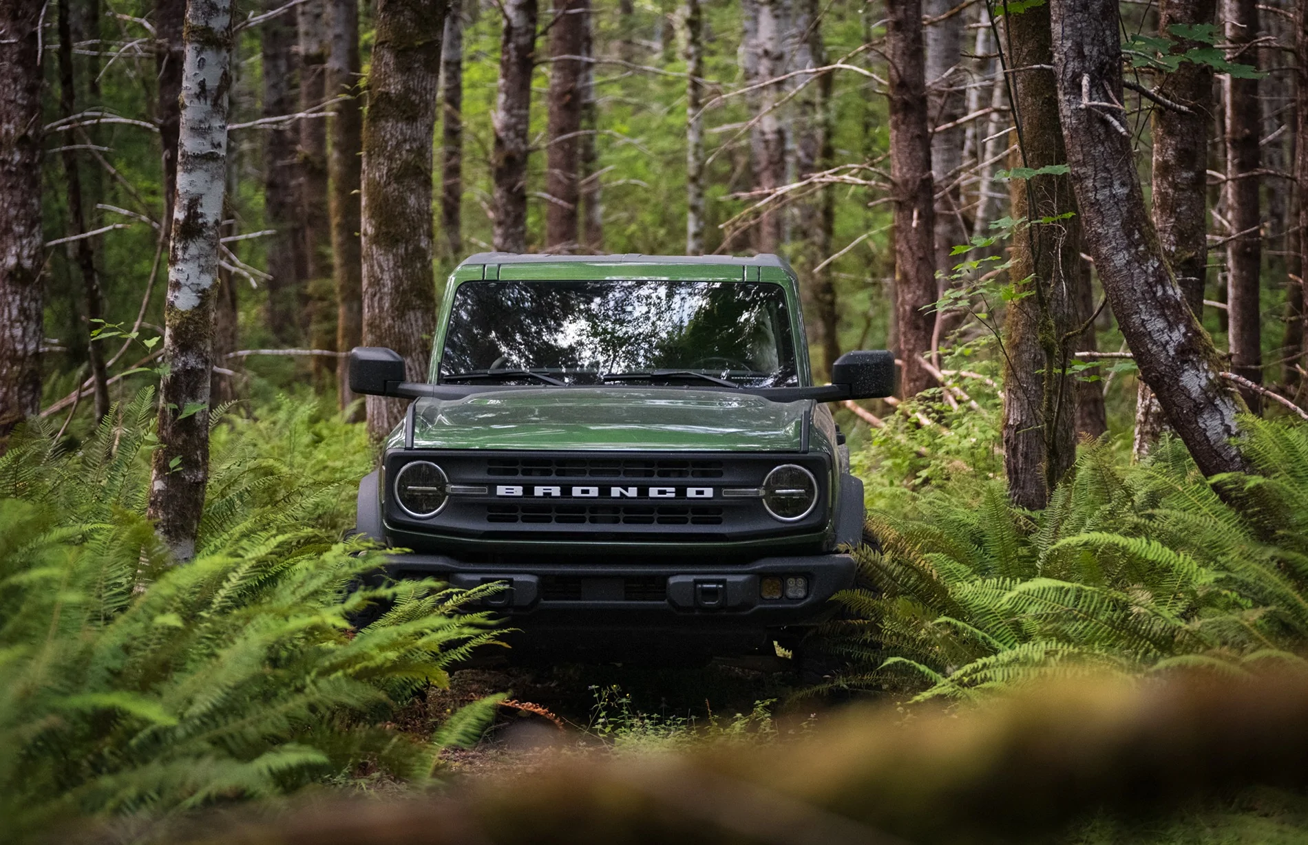 Ford Bronco WA Olympic Peninsula Forest Exploring DSCF0689