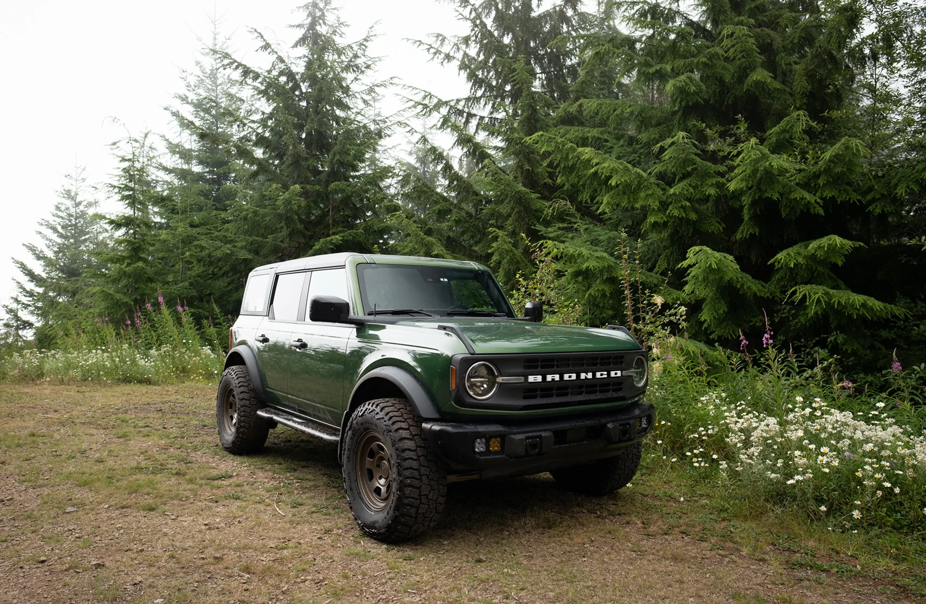 Ford Bronco WA Olympic Peninsula Forest Exploring DSCF0623