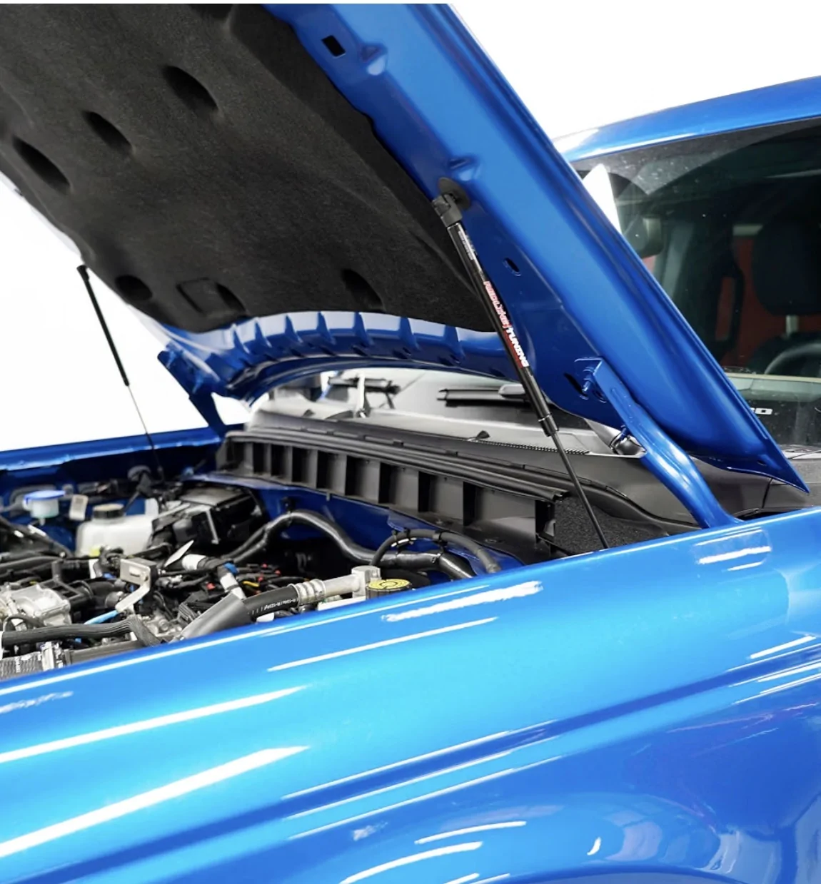Ford Bronco Redline Hood lift Max IMG_5852