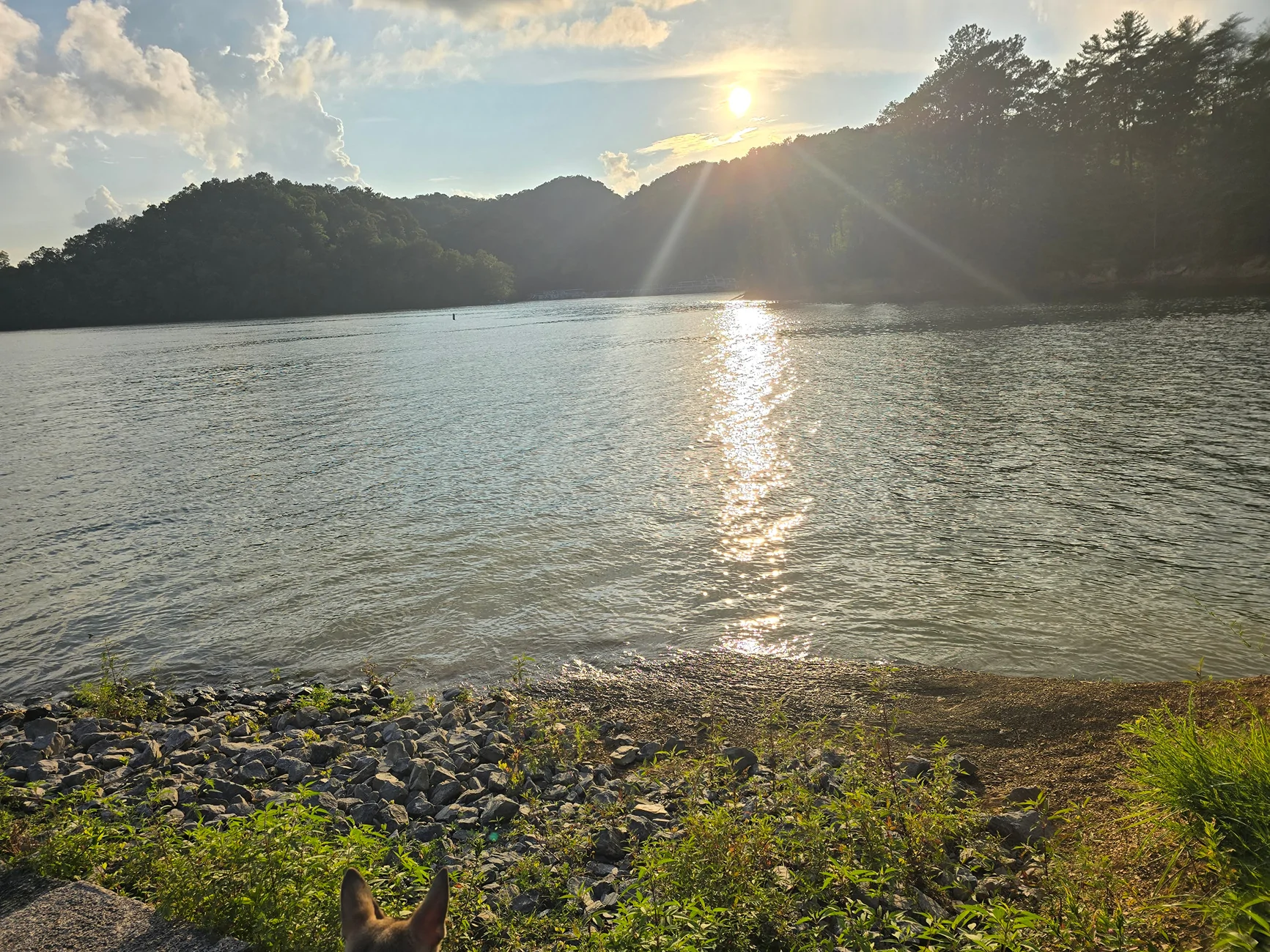 Ford Bronco What did you do TO / WITH your Bronco today? 👨🏻‍🔧🧰🚿🛠 20260807_192844