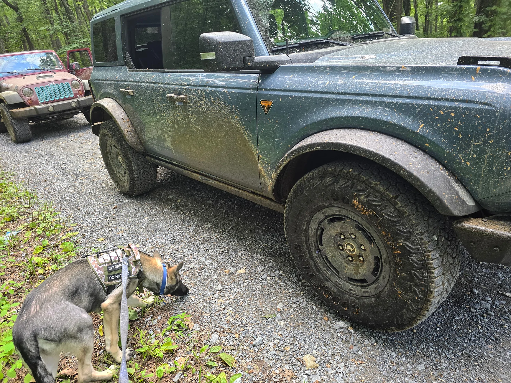Ford Bronco What did you do TO / WITH your Bronco today? 👨🏻‍🔧🧰🚿🛠 20260807_180026
