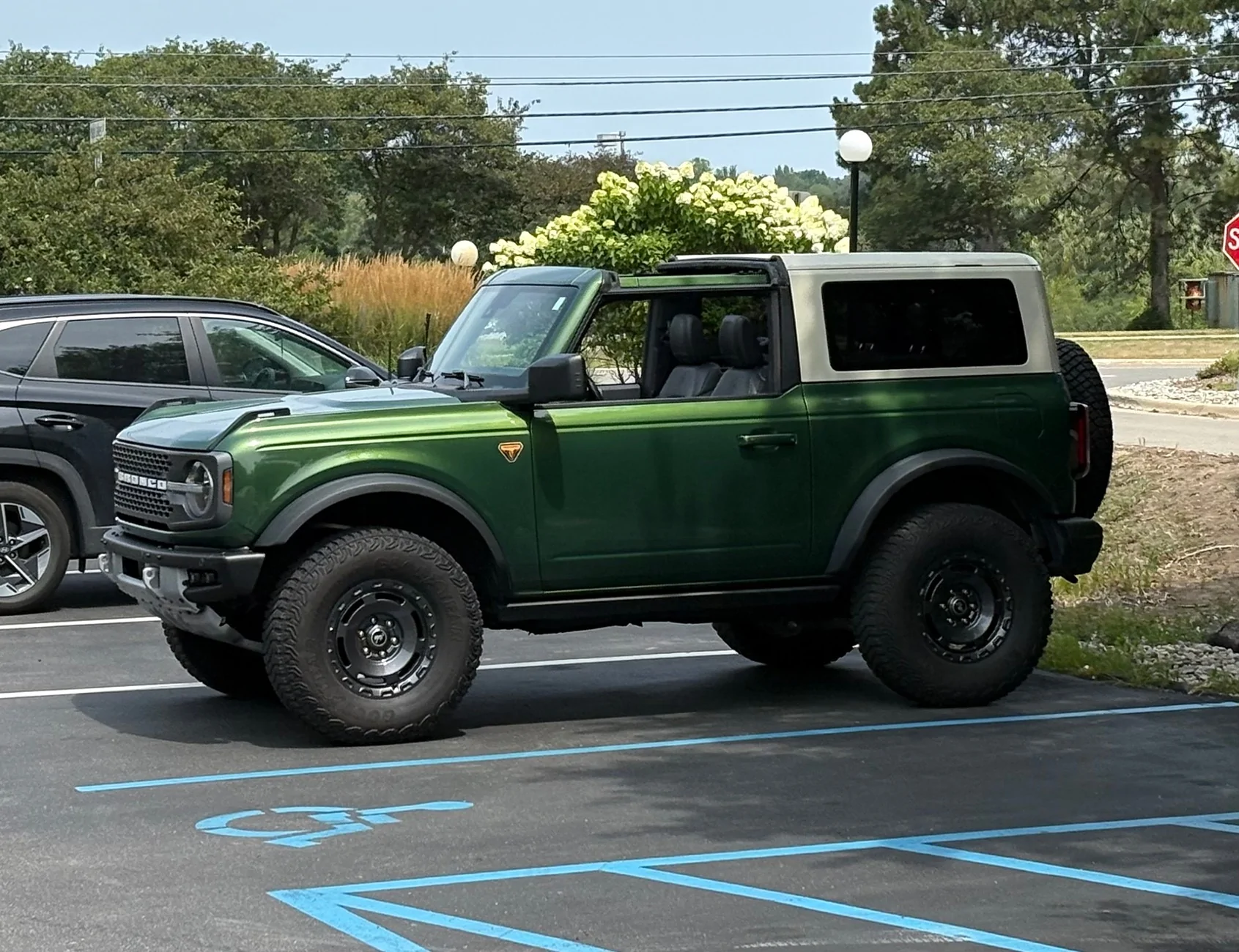 Ford Bronco Show those photos of 2 Doors with Painted Roof IMG_2415