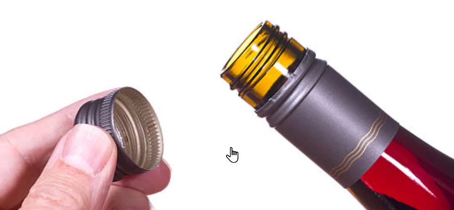 Ford Bronco Blow off valve cap 1786233969640-zl