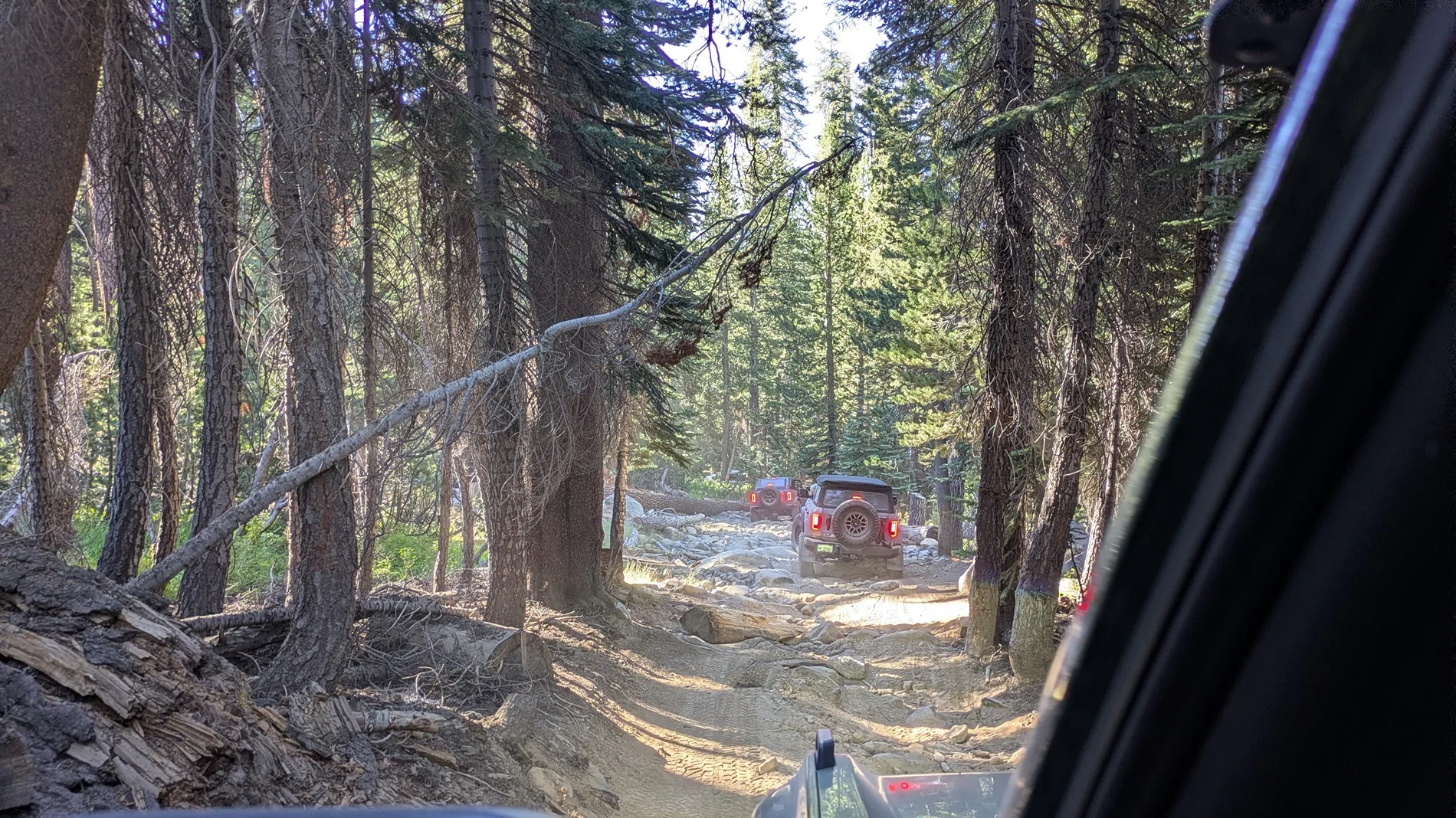Ford Bronco Sierra Lakes Run -Red Lake, Coyote Lake, Strawberry Lake 8-4-26 Thru 8-8-26 PXL_20260805_160024690