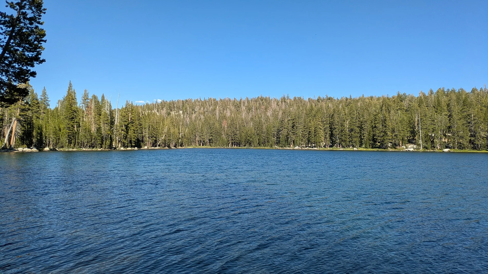 Ford Bronco Sierra Lakes Run -Red Lake, Coyote Lake, Strawberry Lake 8-4-26 Thru 8-8-26 PXL_20260805_225644845