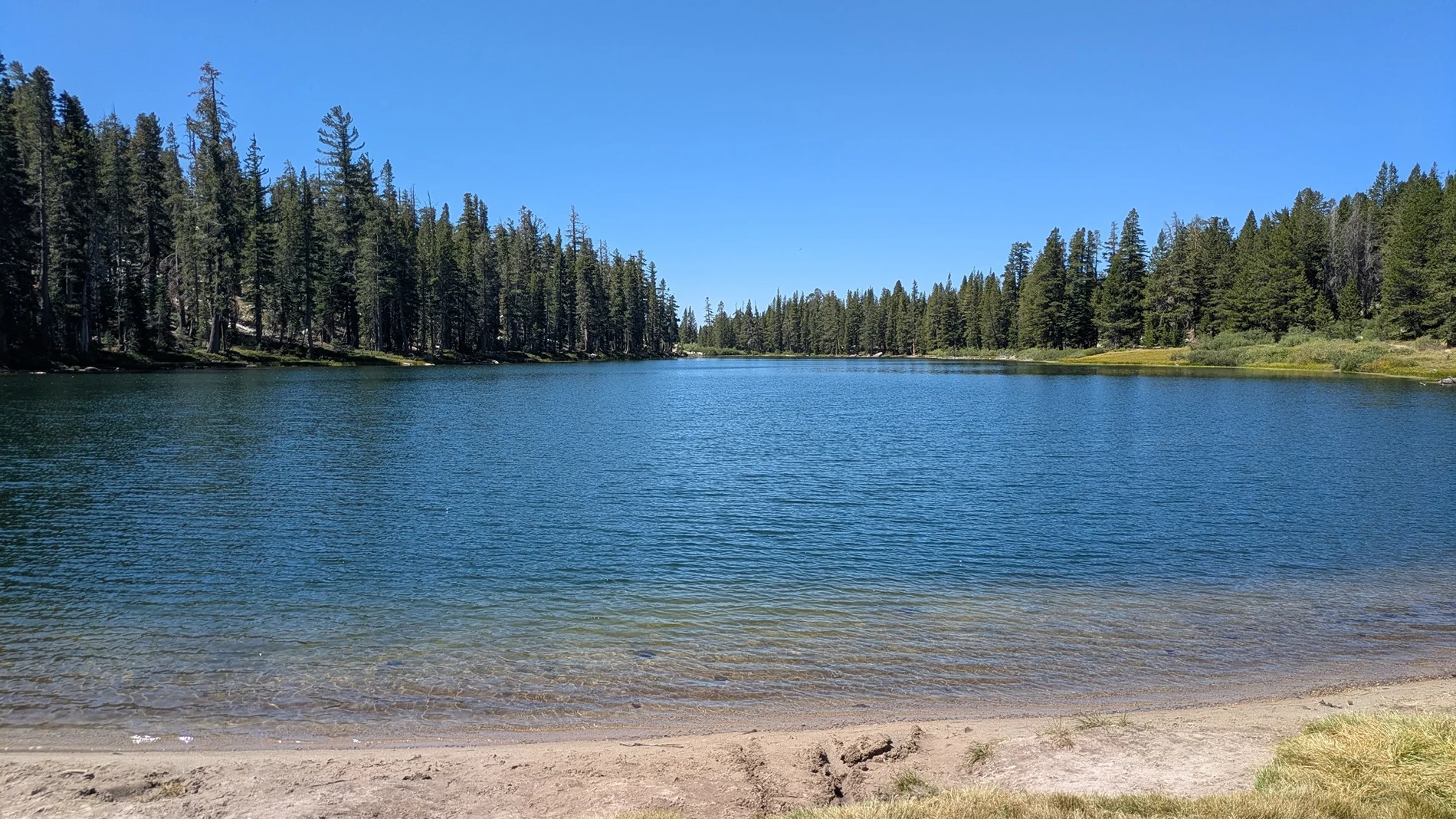 Ford Bronco Sierra Lakes Run -Red Lake, Coyote Lake, Strawberry Lake 8-4-26 Thru 8-8-26 PXL_20260806_180328224