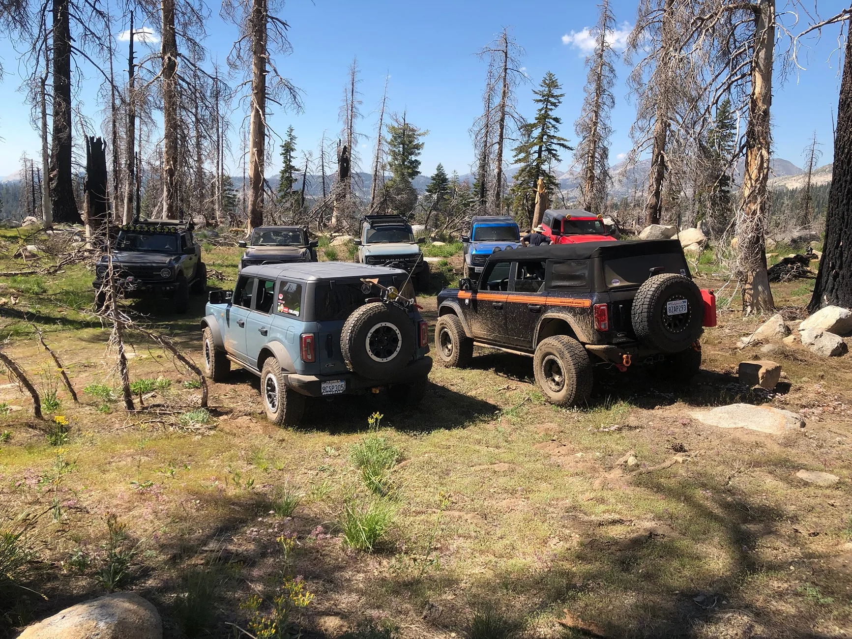 Ford Bronco The Official Bronco6G Photo Challenge Game 📸 🤳 1786300406059-5k