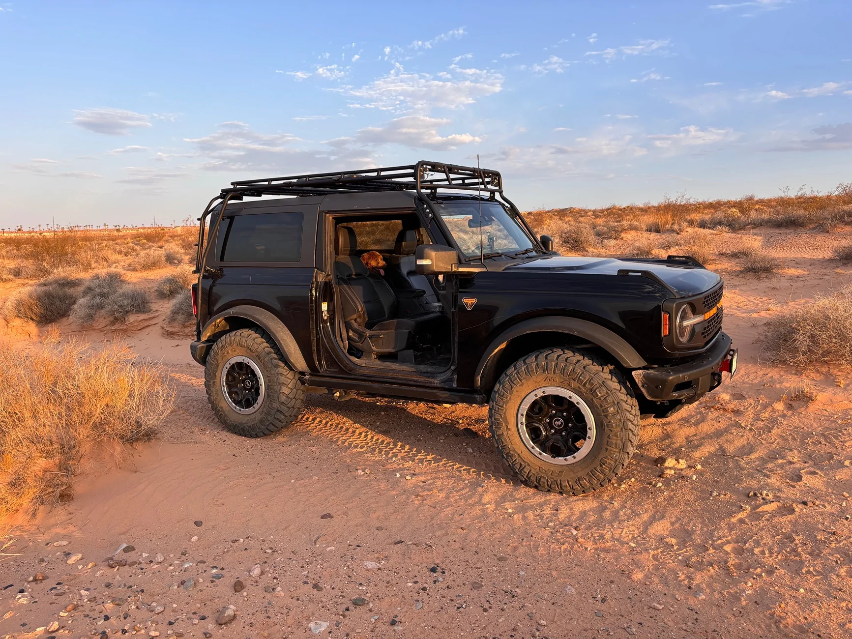 Ford Bronco Front receiver IMG_5213