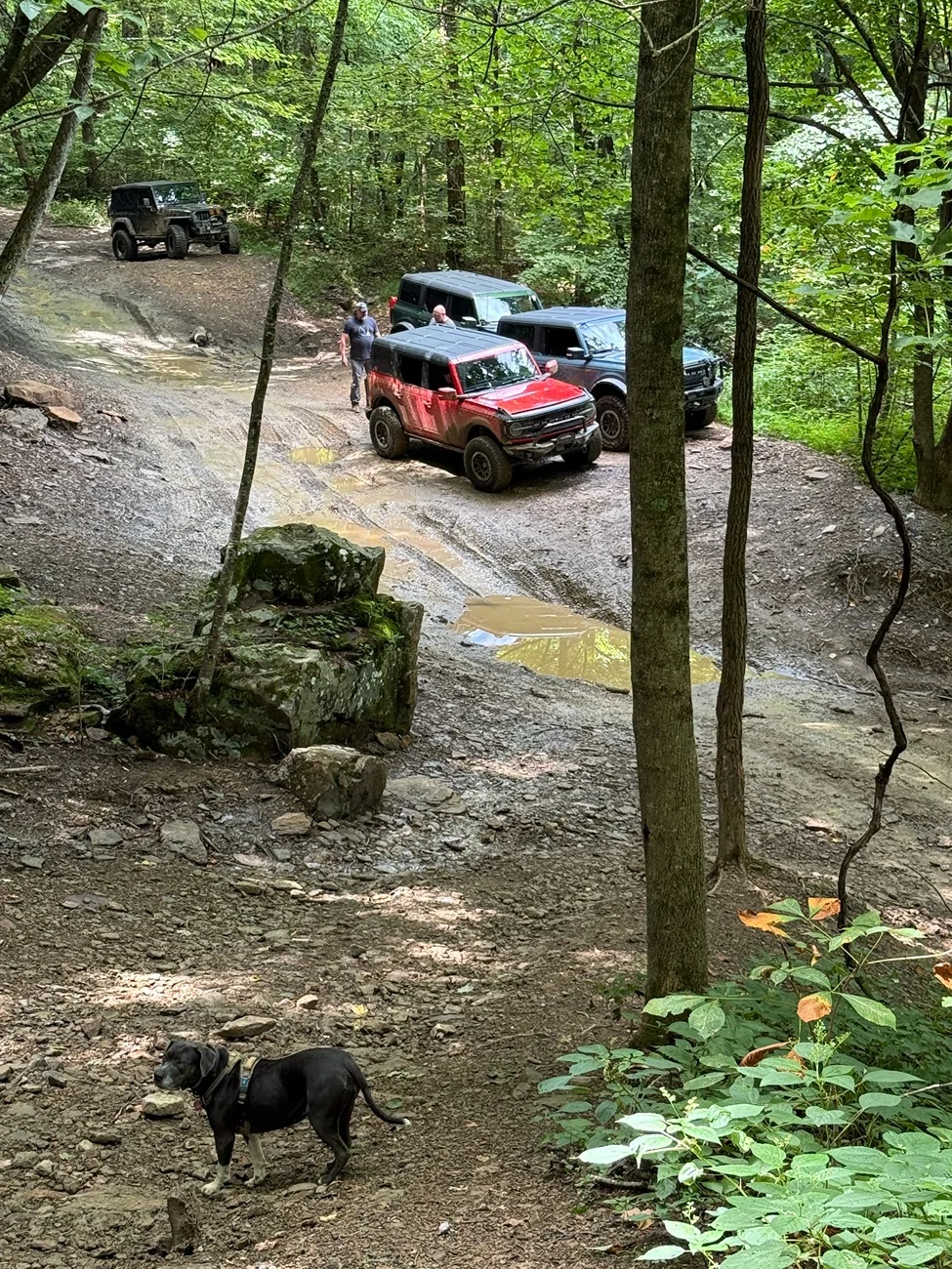 Ford Bronco Half summer Rock offrodeo run 8/9/26 IMG_20260810_090214