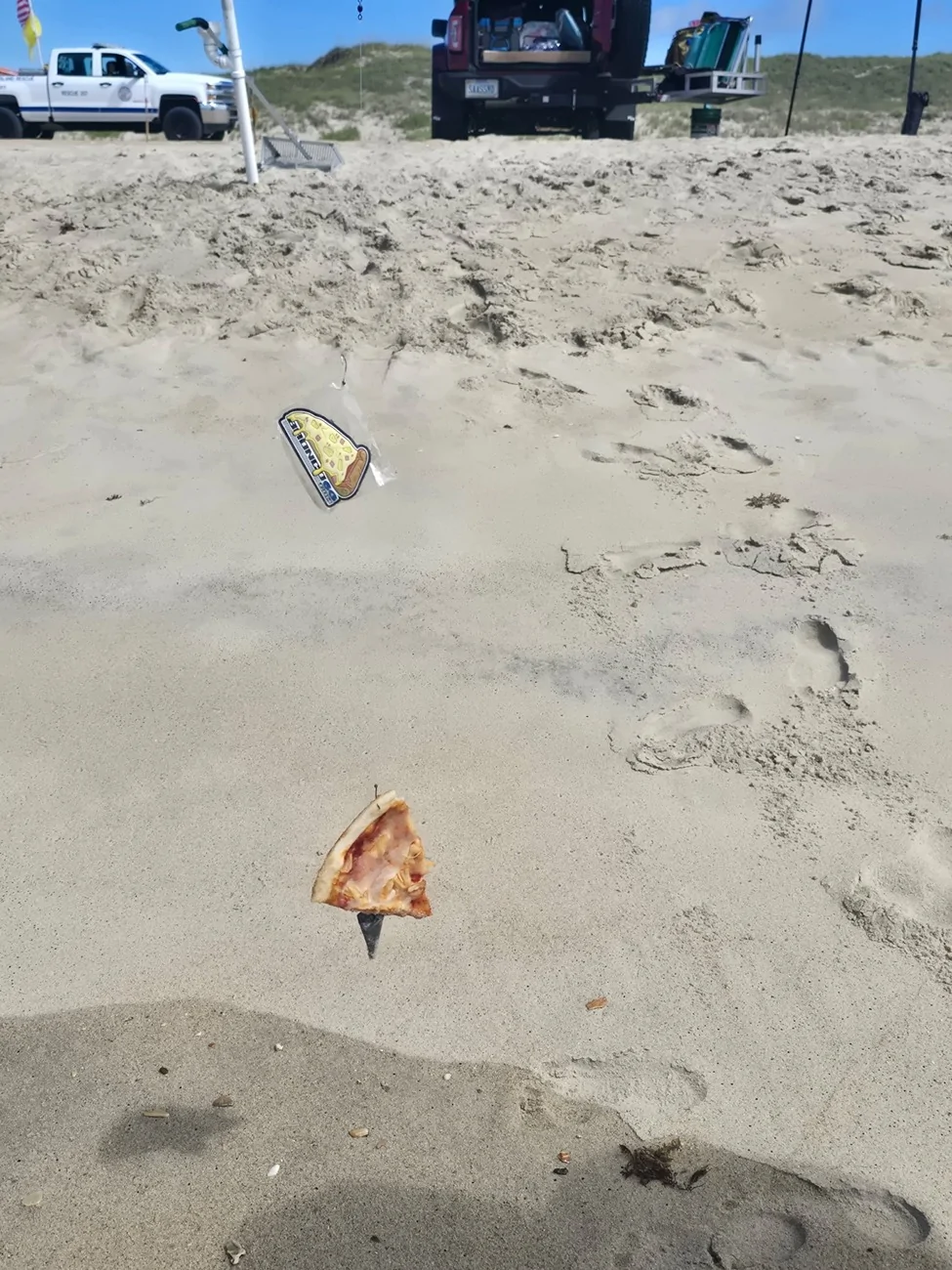 Ford Bronco The Sky is Falling:  Mysterious Pineapple Pizza Delivery! 1000011450