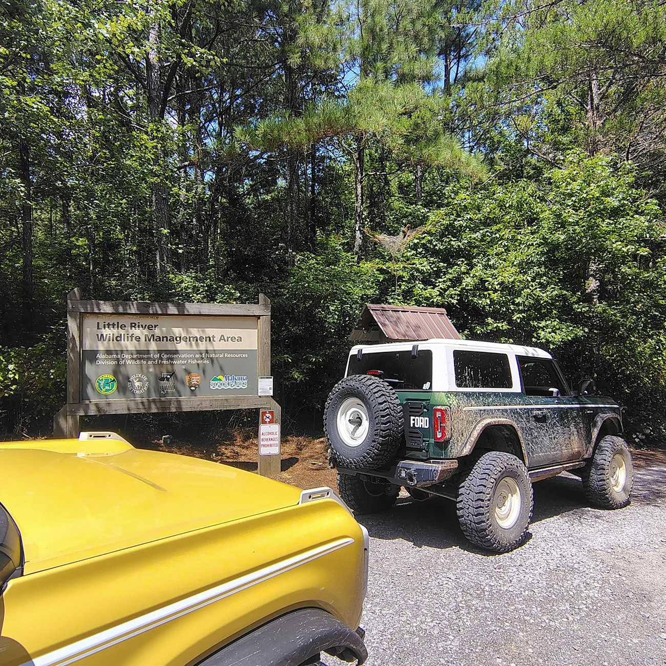 Ford Bronco What did you do TO / WITH your Bronco today? 👨🏻‍🔧🧰🚿🛠 IMG_20260815_133930978_HDR