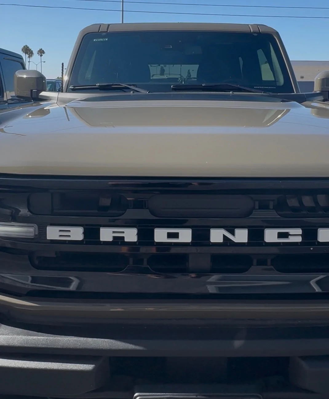 Ford Bronco Raptor style grille IMG_8295