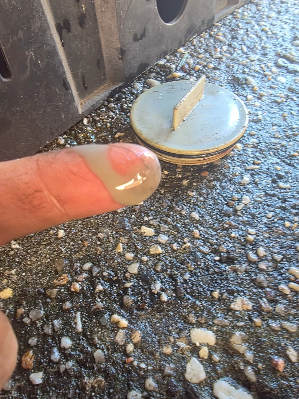 Ford Bronco Water contamination in the front differential 20260823_112657