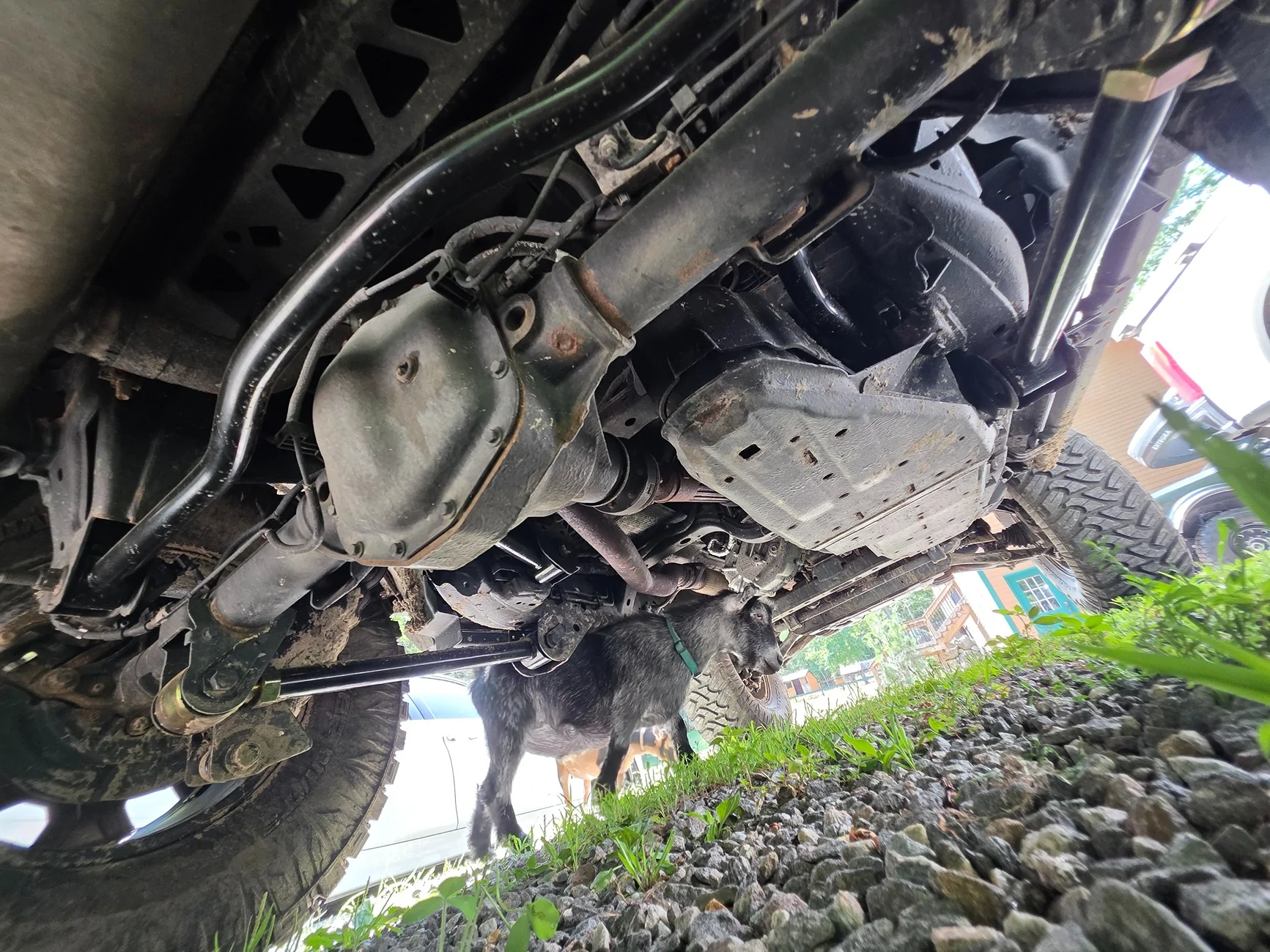 Ford Bronco Our 2022 BRBN 2-Door Sas MT 24093