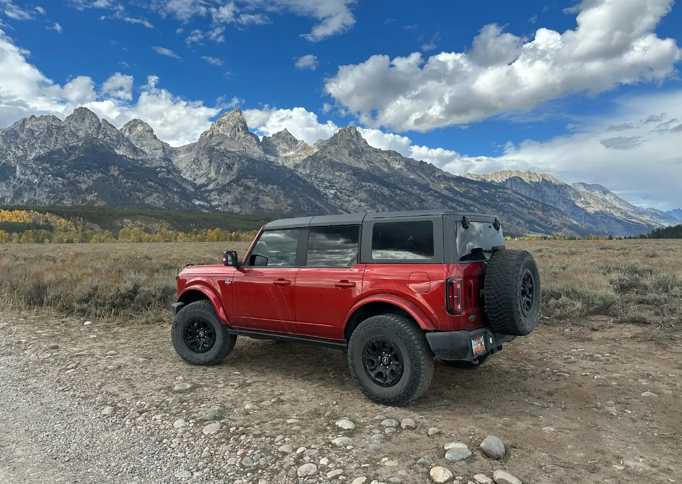 Ford Bronco Year 3 with Pepper 1788391039771-qz