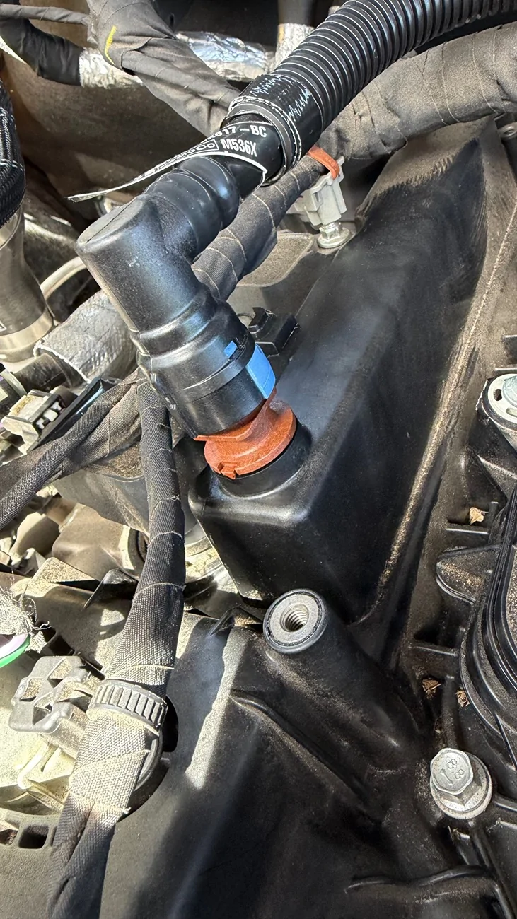 Ford Bronco Leak: Positive Crankcase Ventilation (PCV) system IMG_3921