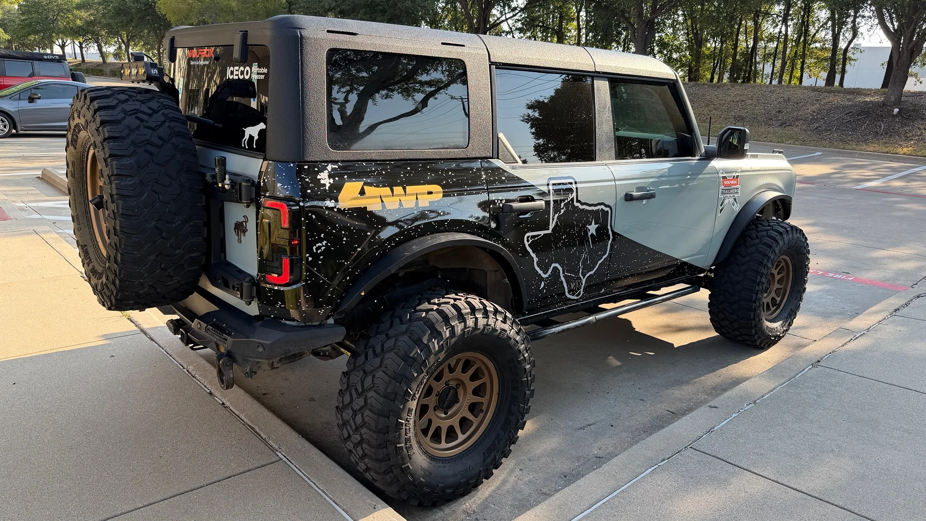 Ford Bronco Bird Dog Off Road Bronco IMG_8657