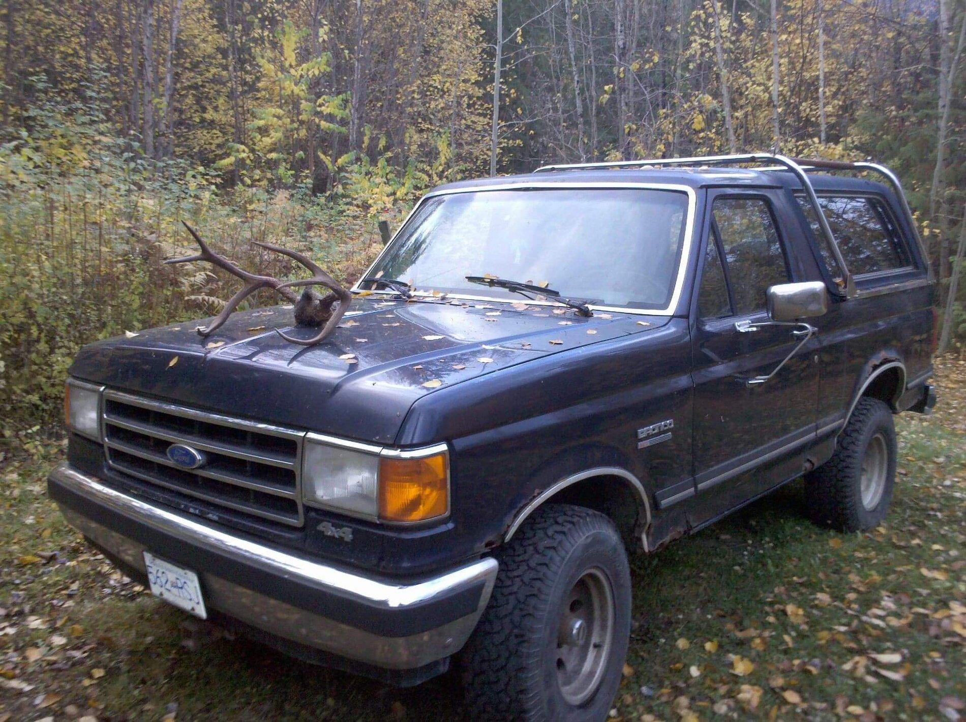 Ford Bronco Roof Rack? received_1058269068000781