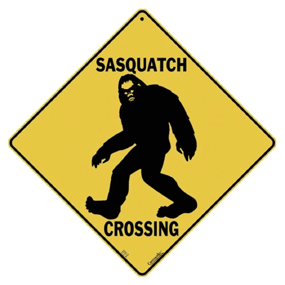 Ford Bronco SASQUATCH HEAVY METAL! 1611868817465