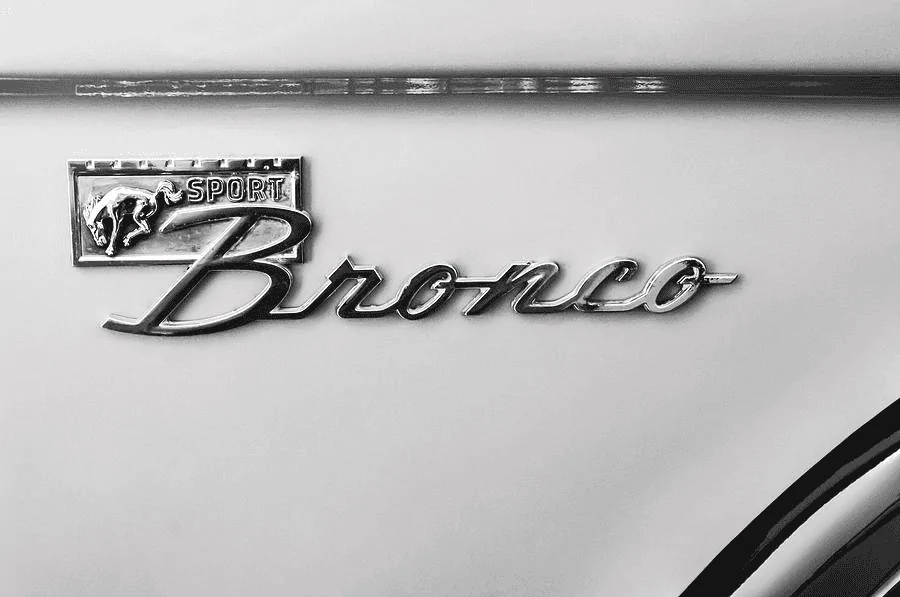 Ford Bronco Fender badge - yay/nay? 1612495533205