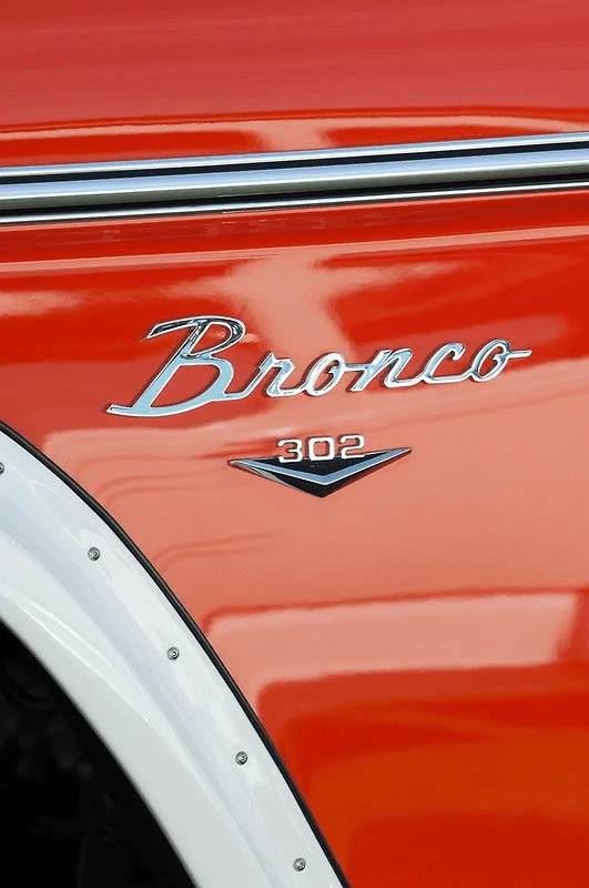 Ford Bronco Fender badge - yay/nay? 1612495620291
