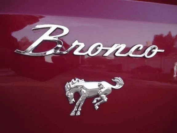 Ford Bronco Fender badge - yay/nay? 1612495719590