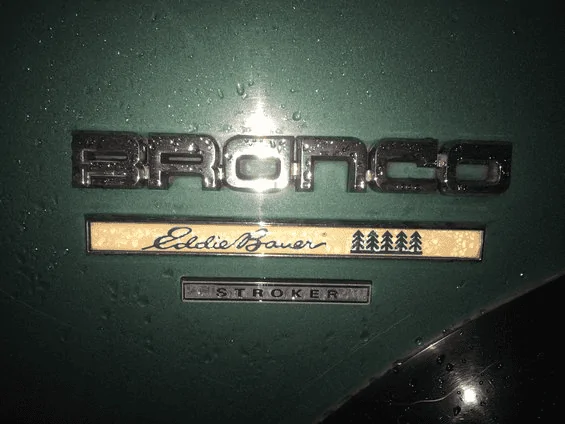 Ford Bronco Fender badge - yay/nay? 1612495738813