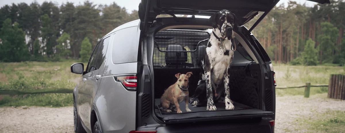 Ford Bronco PET BARRIER / ACCESSORIES ? 1612549038994