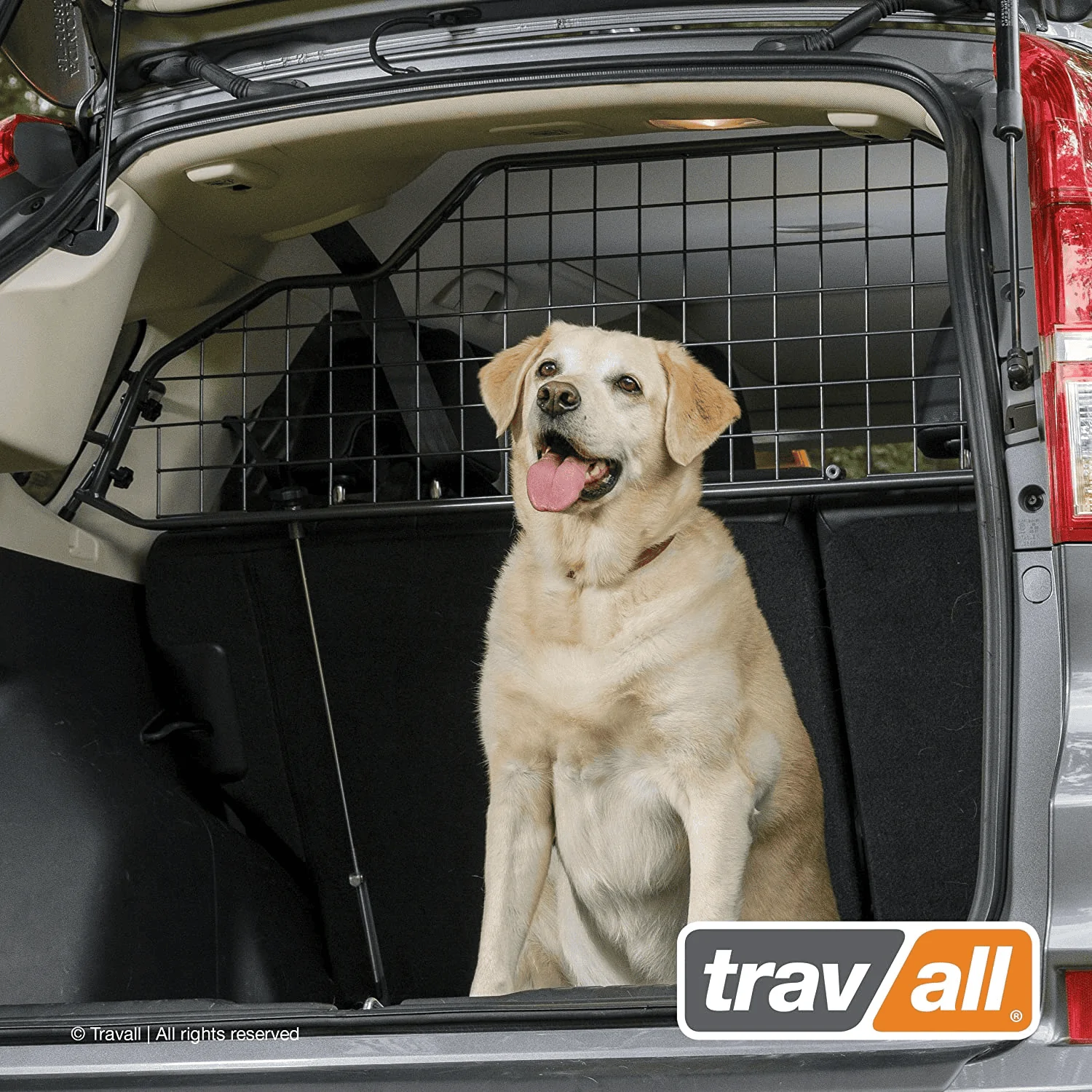 Ford Bronco PET BARRIER / ACCESSORIES ? 1612551464879