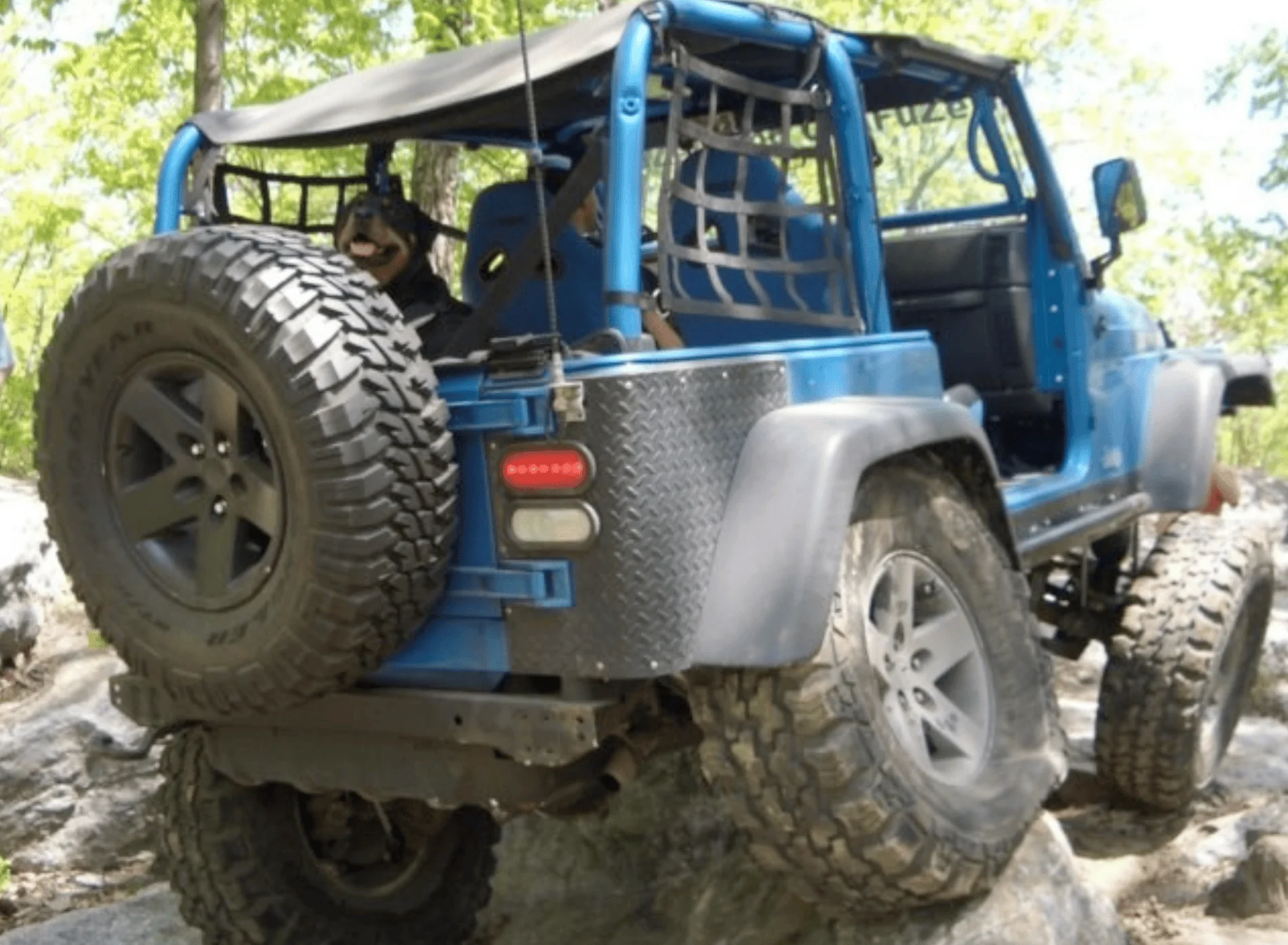 Ford Bronco Dogs in the Bronco 1612747866221