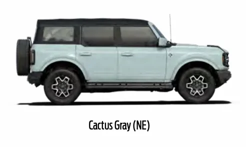 cactus.jpg
