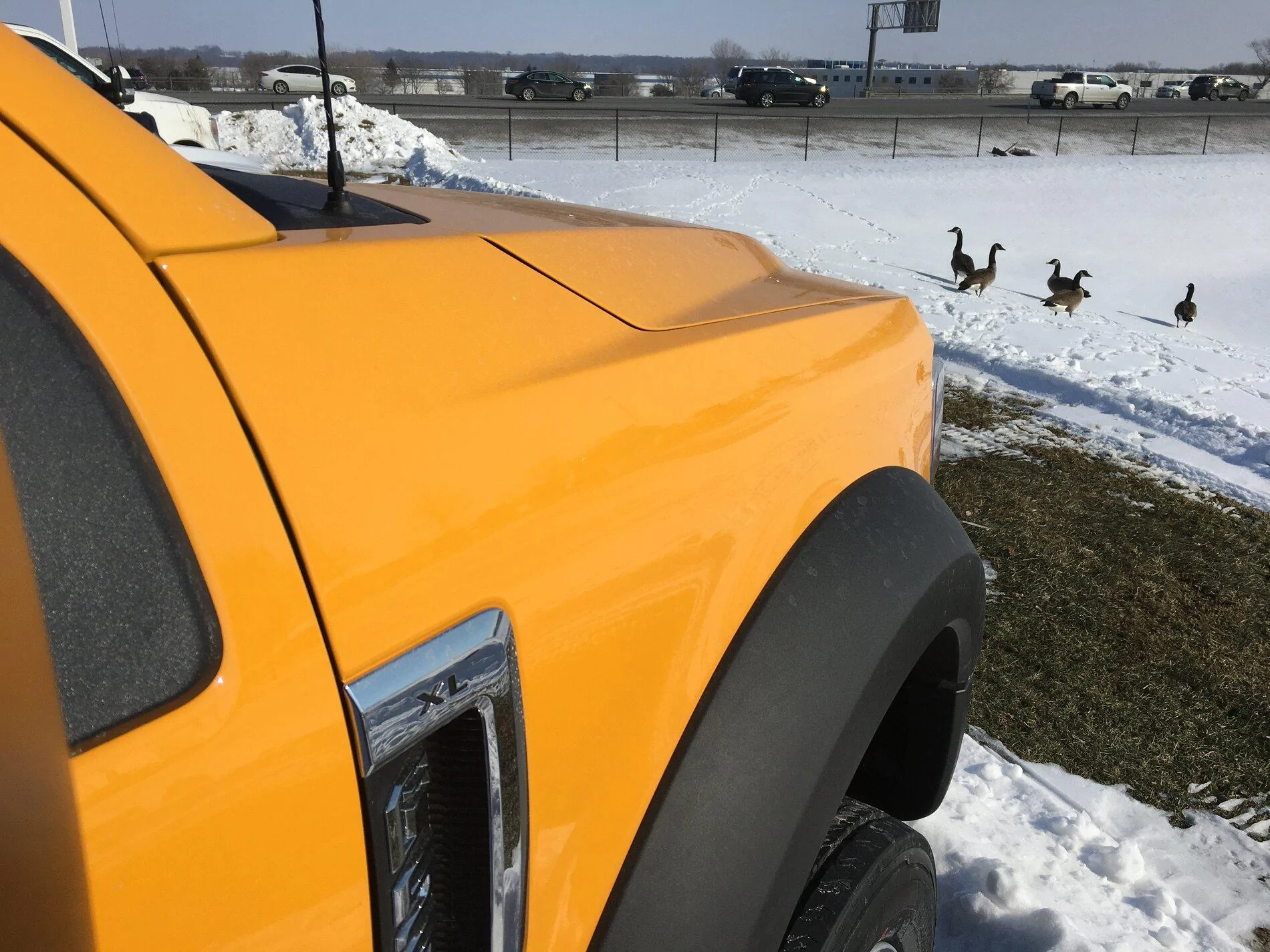 Ford Bronco Cyber Orange Paint Thread IMG_6344