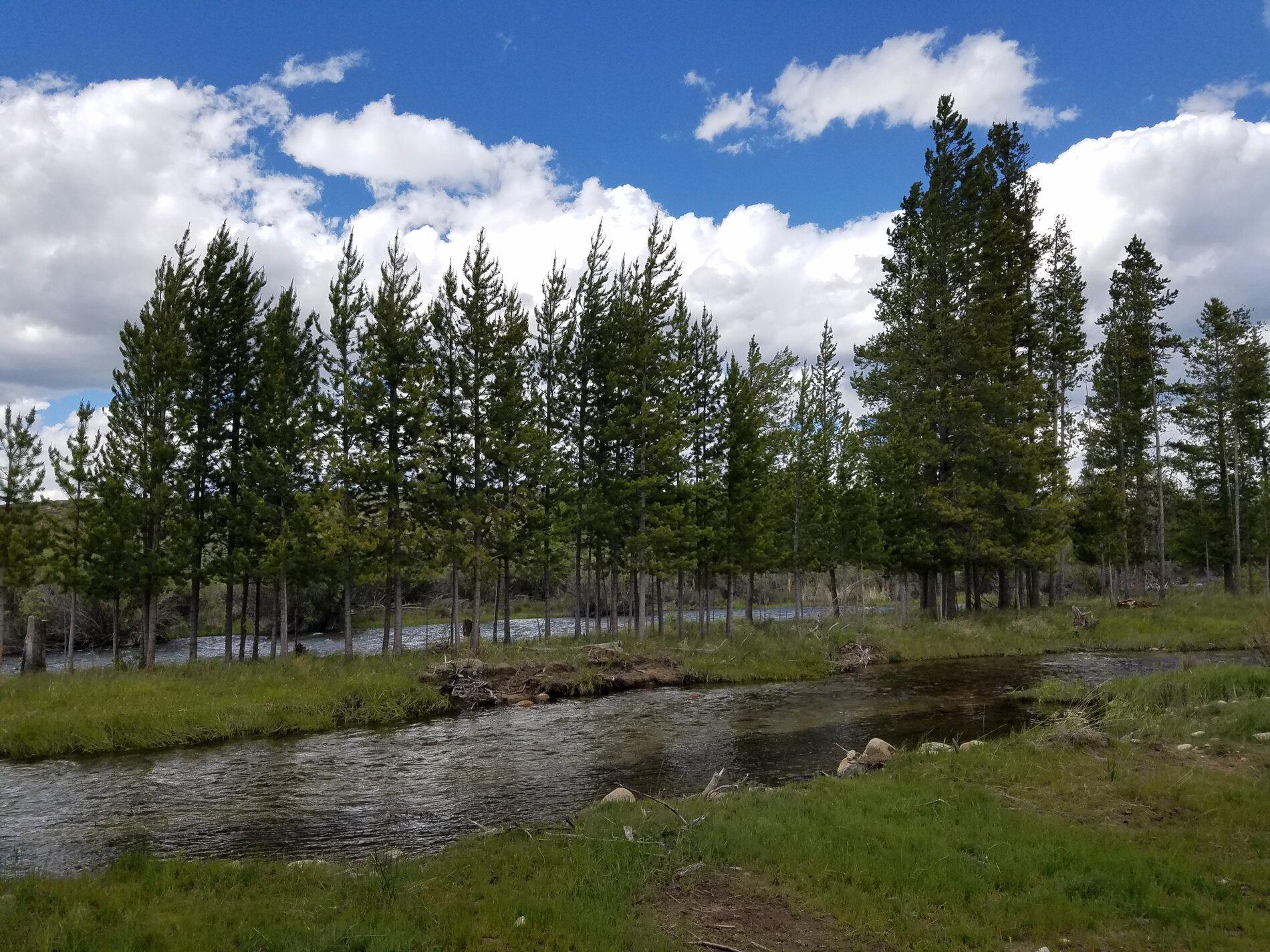 Ford Bronco Hello from Wyoming 20190624_160912