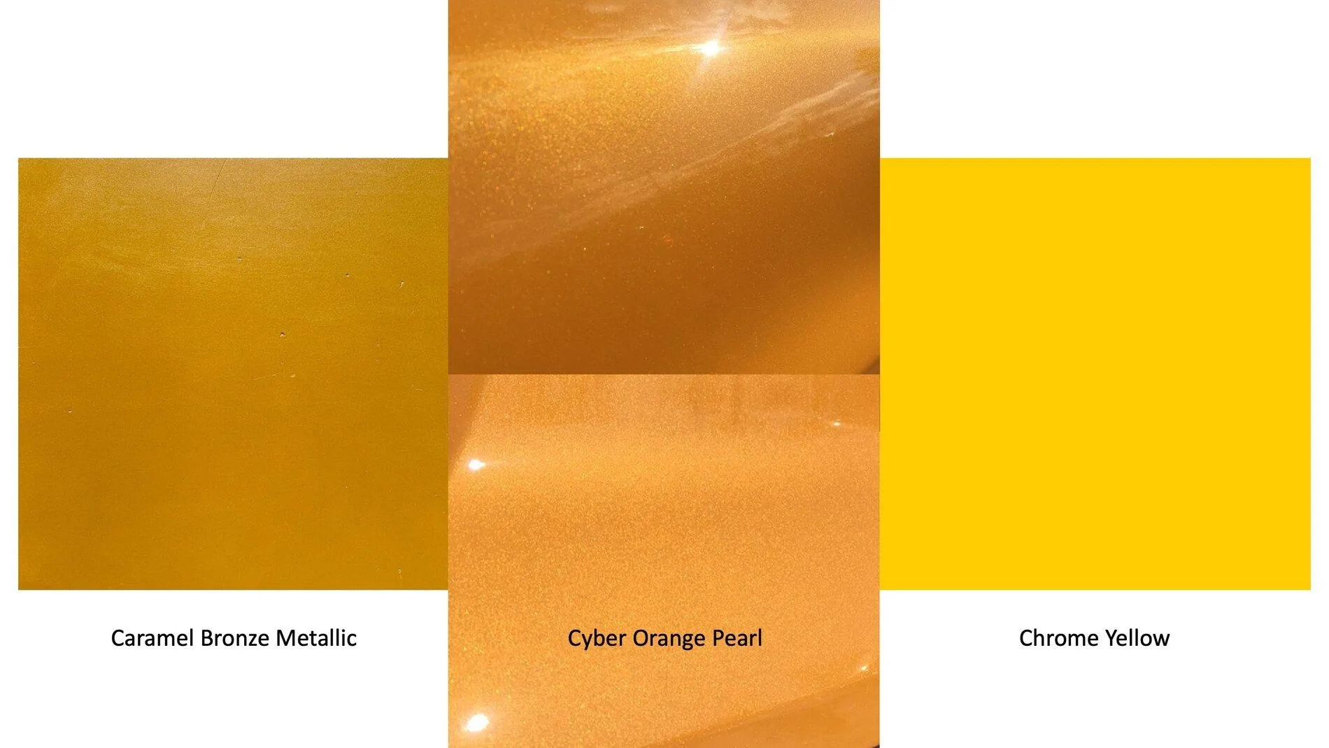 Bronco Colors 3.jpg