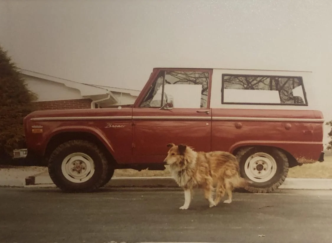 Ford Bronco Your first Bronco, or repeat offender? 7C8E4B0A-C461-4B65-A055-FEC9EF9C2EA9