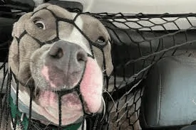 Ford Bronco This is not a cup holder! 1614550491306