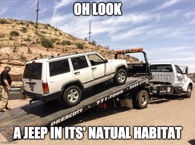 Ford Bronco Shots fired. jeep_tow