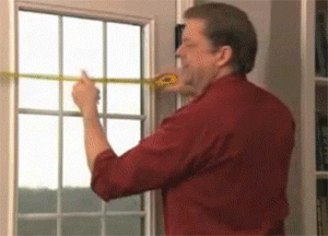 NGF[1].gif