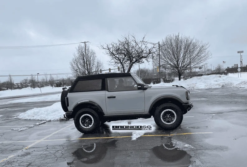 Ford Bronco Michigan Only: Color Poll 1614813190954