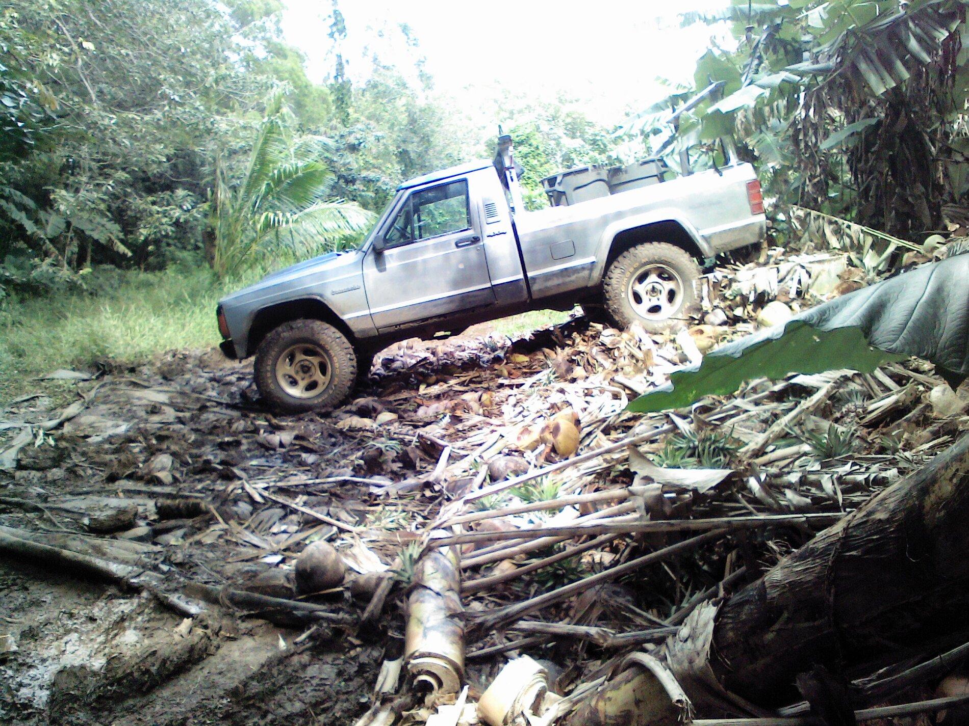 Ford Bronco How extreme are you? 0308201357