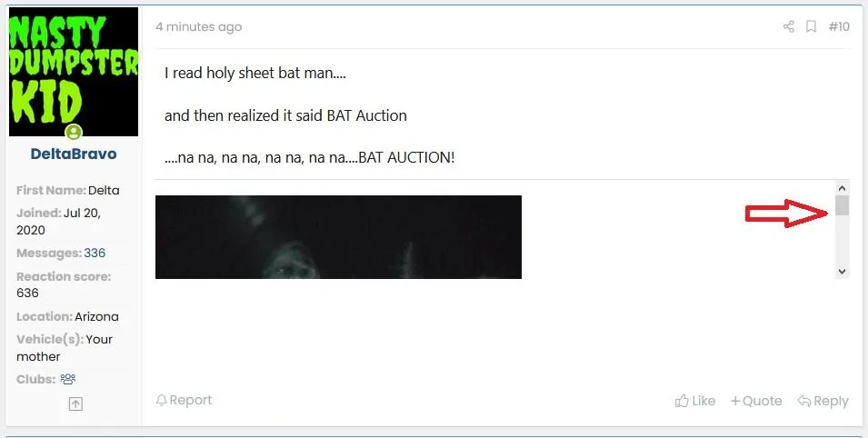 Ford Bronco HO LEE SH** BaT Auction delta