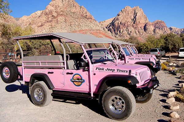 Ford Bronco Mary Kay Bronco external-content.duckduckgo.com