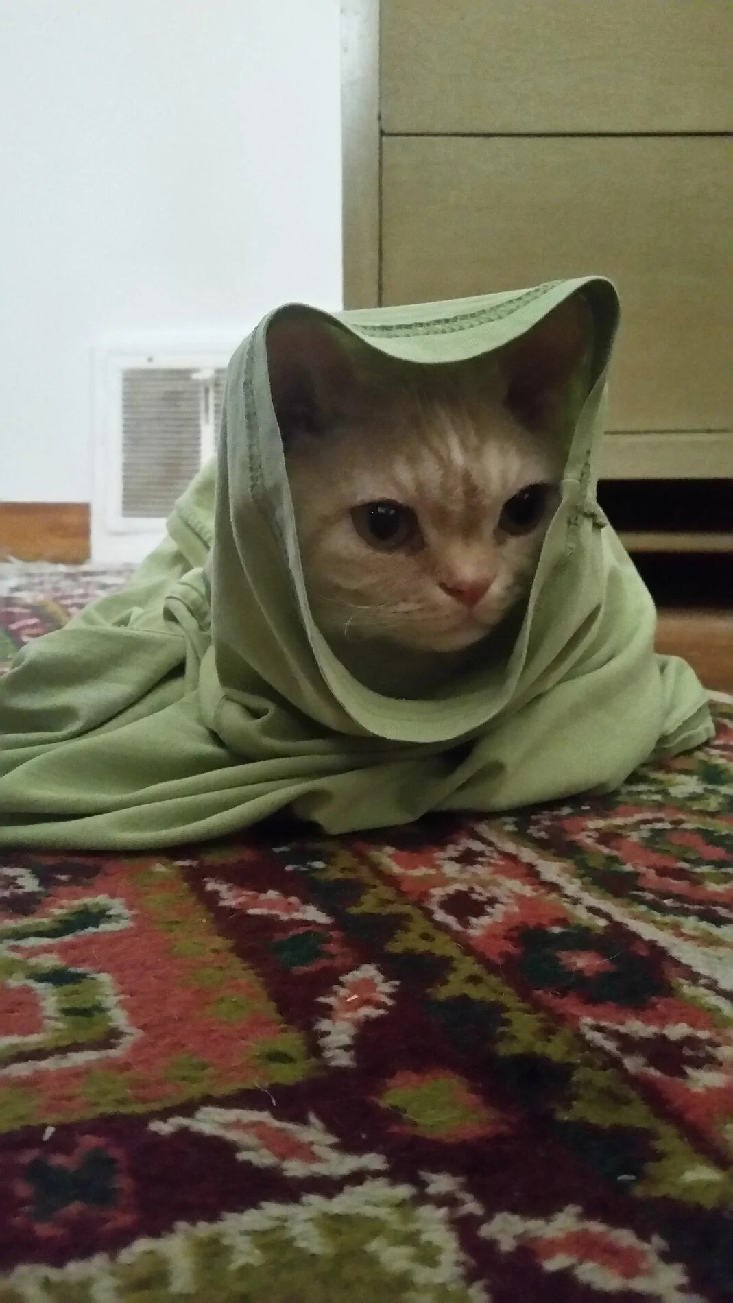 20181208_105613.jpg