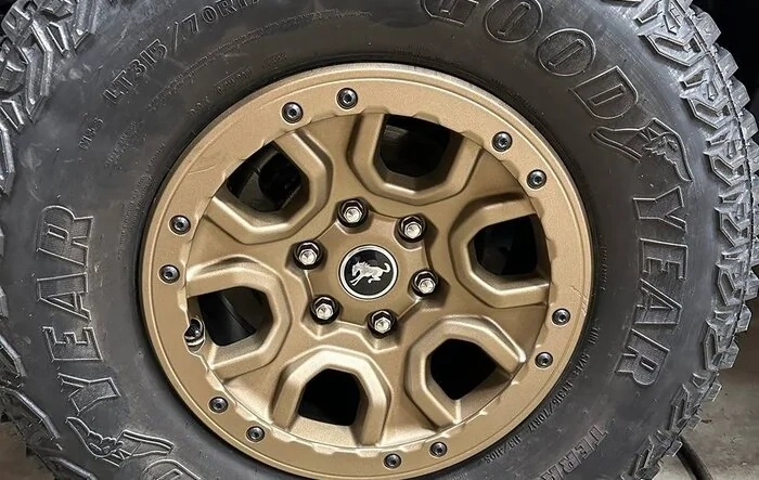 OEM Sasquatch Wheels Painted Bronze