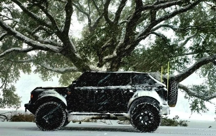 SouthWest Louisiana snowpocalypse Jan 2025 photos - post yours!